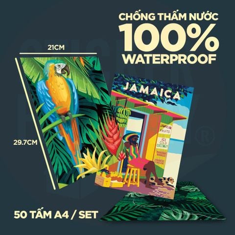  TROPICAL - Set 50 Poster A4 dán tường trang trí 