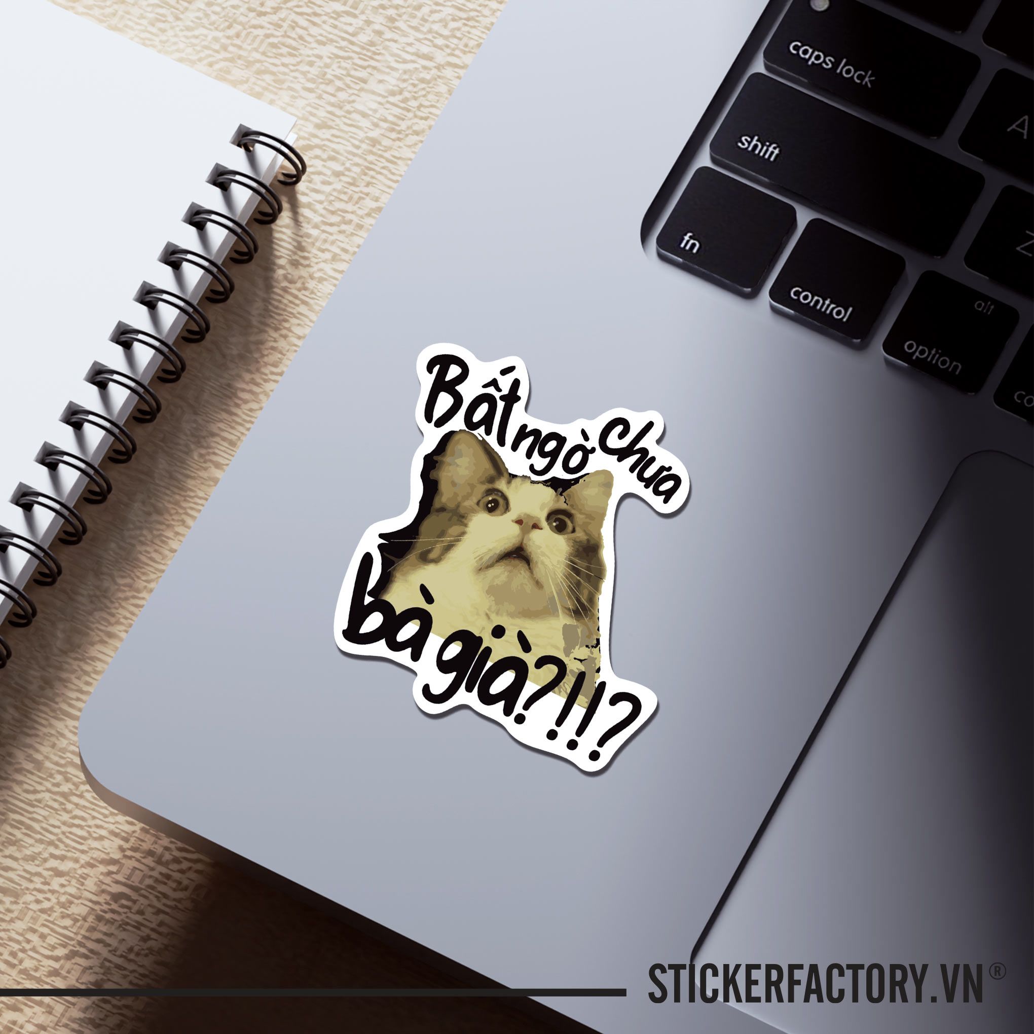 BẤT NGỜ CHƯA BÀ GIÀ 7cm - Sticker Die-cut hình dán cắt rời