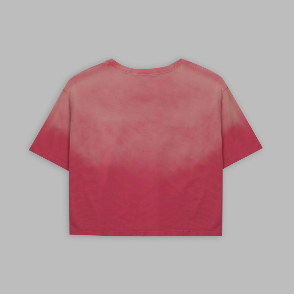 Áo thun nữ croptop tay ngắn _ Gavani akh transform 2