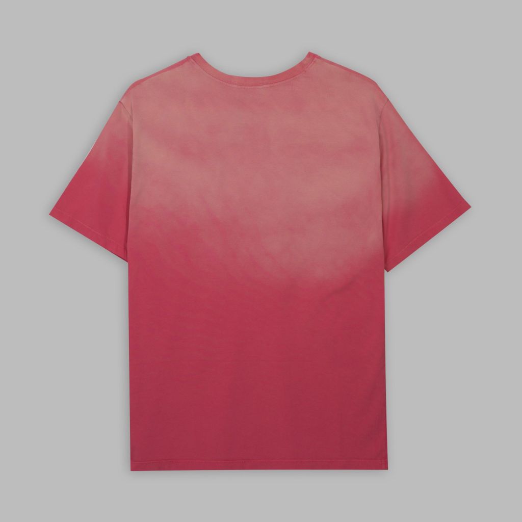 Áo thun nam nữ form Unisex _ Gavani akh transform 2