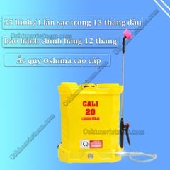 Bình xịt điện phun thuốc Cali 20L ( Tặng kèm gói thuốc diệt côn trùng )