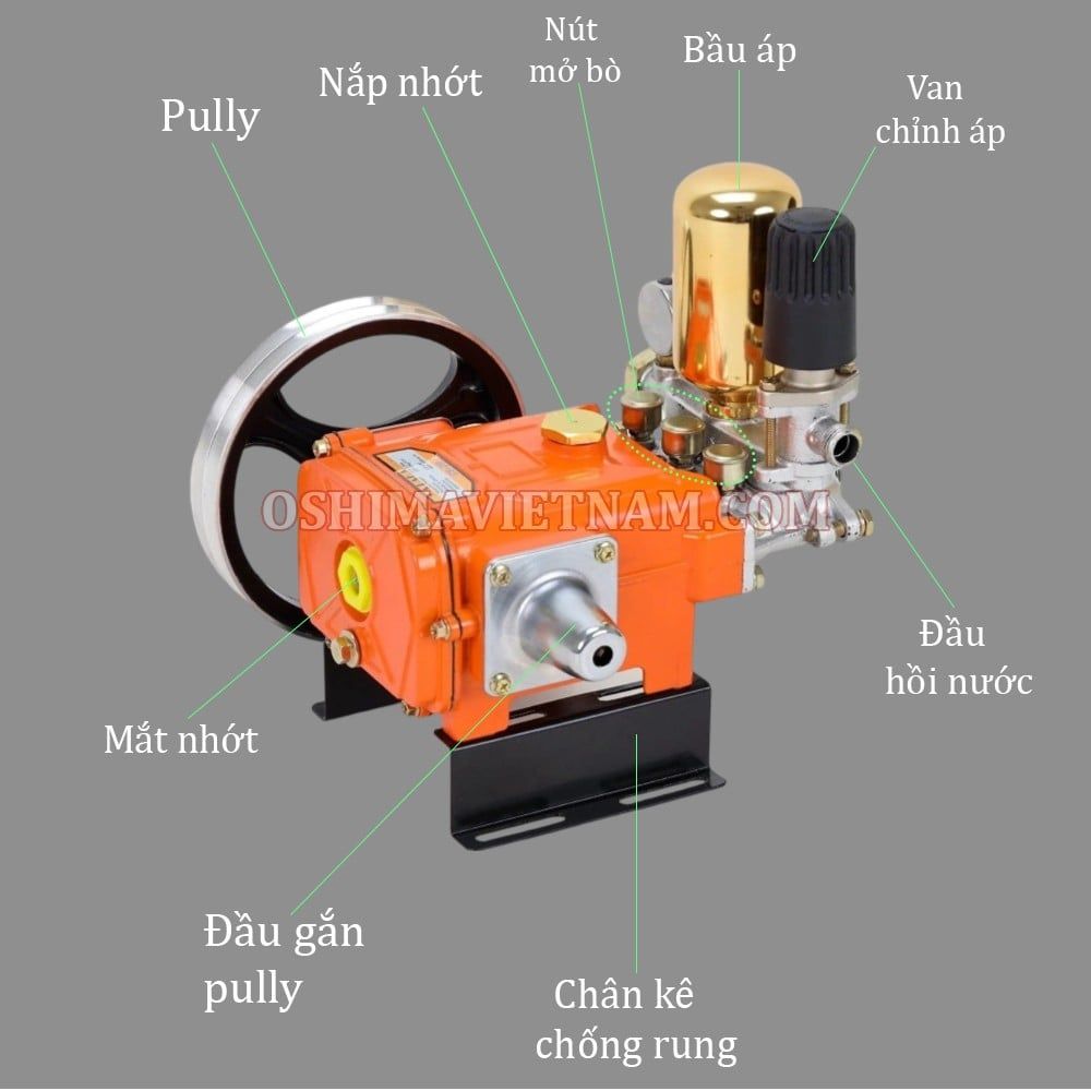 Đầu xịt con ong vàng COV 22