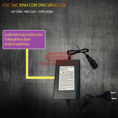 Bình xịt điện con ong vàng COV 20
