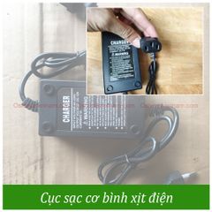 Bình Xịt Điện Con Ong Vàng COV 20D