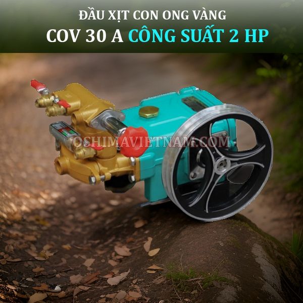 Đầu xịt con ong vàng COV 30 A