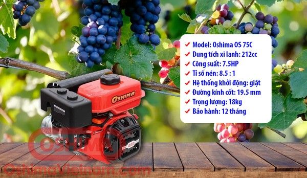 Máy nổ Oshima OS 75C , OS75C CỐT XÉO 7.5HP