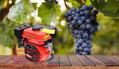 Máy nổ Oshima OS 75C , OS75C CỐT XÉO 7.5HP