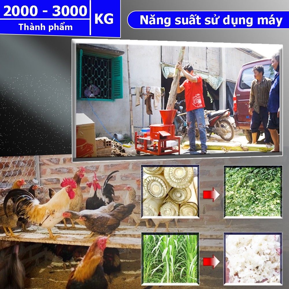 Máy băm thái chuối đa năng TAKYO TK 3000