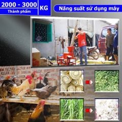 Máy băm thái chuối đa năng TAKYO TK 3000