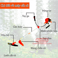 Máy cắt cỏ, phát cỏ OSHIMA CX 330 2 thì đeo vai