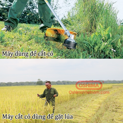Máy cắt cỏ, phát cỏ OSHIMA CX 330 2 thì đeo vai