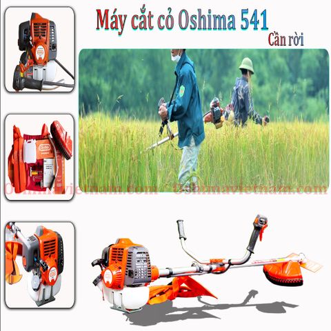 Máy cắt cỏ Oshima 541 cần rời chết