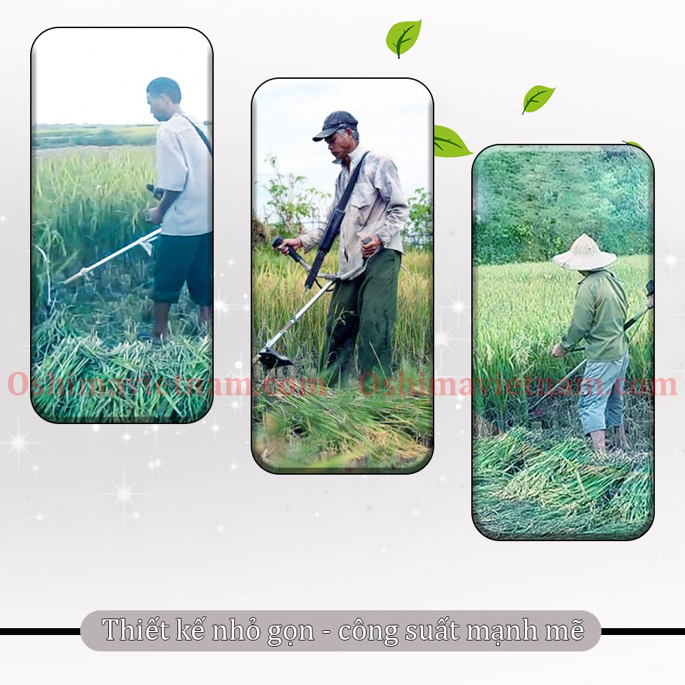 Máy cắt cỏ Oshima VX 330 cần rời xoay