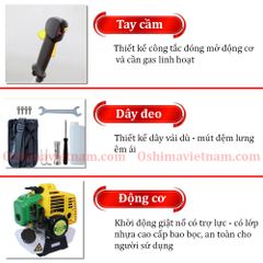 Máy cắt cỏ Oshima VX 330 cần rời xoay