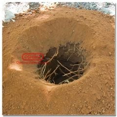Máy khoan đất khoan lỗ trồng cây Oshima 2P đỏ tặng kèm mũi khoan đất 150mm