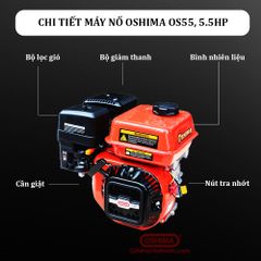 Máy nổ Oshima OS 55 5.5 HP