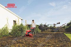 Máy xới đất XDX3 động cơ jiangdon