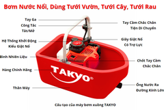 MÁY BƠM XUỒNG 2 THÌ TAKYO TK 430