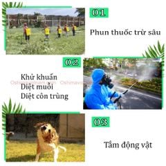 Bình xịt điện Oshima OS 20 vàng