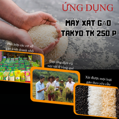 Máy xay xát gạo Takyo TK 250 P