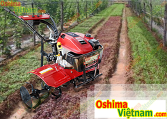 Máy xới đất OShima XDX1-C