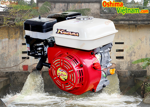 Máy nổ KAWAMA 6.5HP