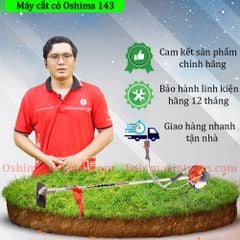 Máy cắt cỏ OSHIMA 143 cần rời chết