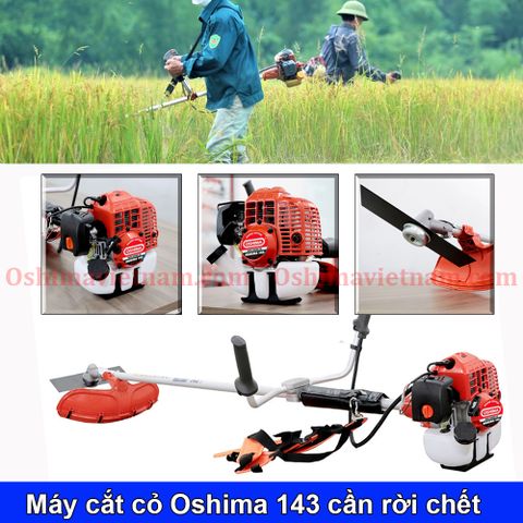 Máy cắt cỏ OSHIMA 143 cần rời chết