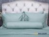Bộ chăn ga Nature Home Cotton AQ03