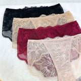  Quần lót ren Zagu không viền mông 