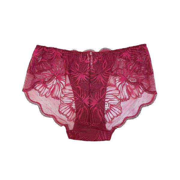  Quần lót ren Zagu không viền mông 