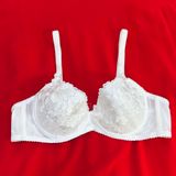  Áo ngực ren Nevy đệm mỏng không mút có gọng 