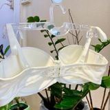  Áo ngực JinTaNa cúp ngang đệm nhẹ 