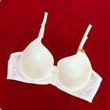  Áo ngực trơn Jintana mút đệm nhẹ có gọng 