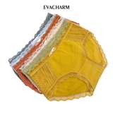  Quần lót Cotton viền ren lưng vừa 