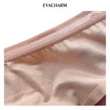  Quần lót cotton dáng lưng vừa 