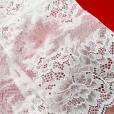  Quần lót ren Evacharm lưng cao 