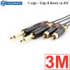 Cáp 6.5mm ra RCA AV 1 cặp Coraon Z-NP2X-B + Z-373-BG + NC-MS2AT 1M 1.5M 3M 5M 10M