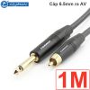 Cáp audio 6.5mm ra AV RCA Coraon Z-NP2X-B + Z-373-BG 1M 1.5M 3M 5M 10M