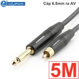  Cáp audio 6.5mm ra AV RCA Coraon Z-NP2X-B + Z-373-BG 1M 1.5M 3M 5M 10M 