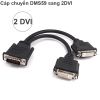 Cáp chuyển đổi DMS 59 (DVI59) sang 2 DVI