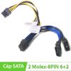 Dây cáp nguồn 2 Molex IDE 4PIN to 8pin  PCI-E 2+6 20Cm