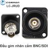 Đầu cắm BNC SDI âm tường kèm mặt bắt vít BNC SDI wallplate Coraon LC-JRUD