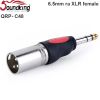 Đầu chuyển 6.5mm stereo ra XLR male female Soundking