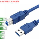  Cáp USB 3.0 AM-BM 0.6M 3M 5M 