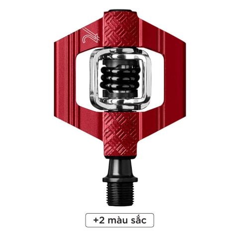 Bàn Đạp Cá 2 Chấu | Candy 2 Clipless Pedals
