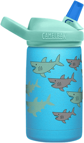 Bình Giữ Nhiệt Trẻ Em Camelbak | Eddy + Kids, Insulated SST 350ml