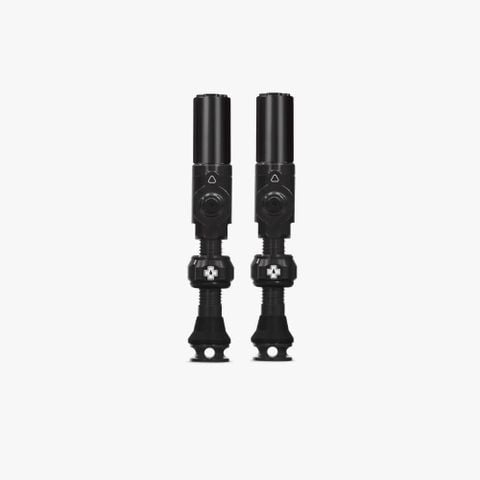 Big Bore Hybrid Tubeless Valves