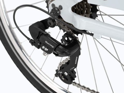 Xe Đạp Thành Phố | Townie 7D EQ Step-Thru