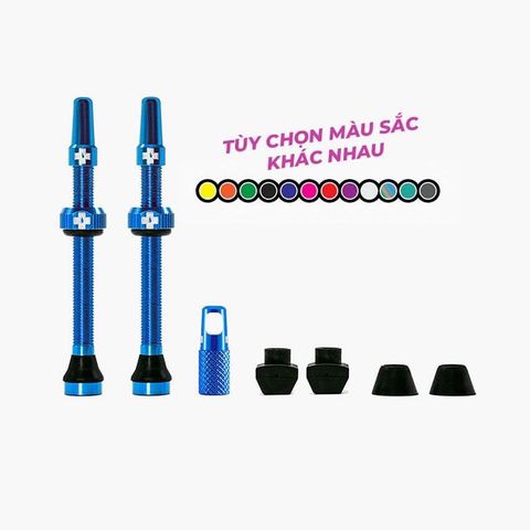 Bộ Van Vỏ Không Ruột | Tubeless Valve Kit